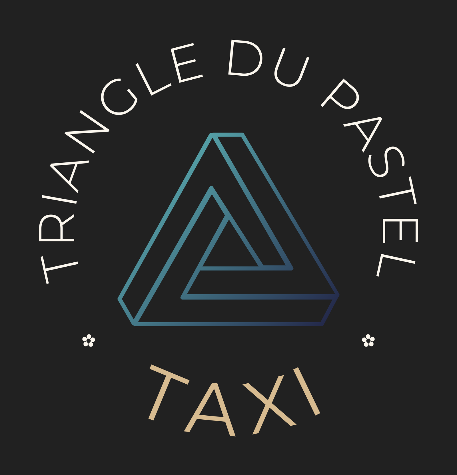 triangledupasteltaxi.fr